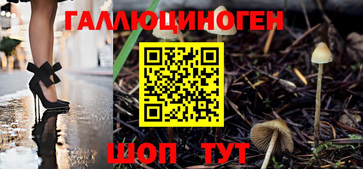 Менделеевск  Псилоцибиновые грибы GOLDEN TEACHER  наркотики  Вход с VPN 